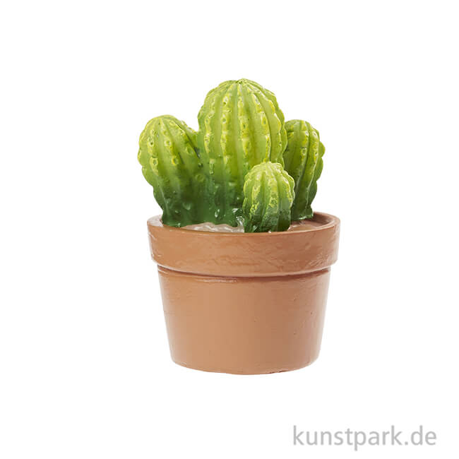 Mini Kaktus im Topf, vierarmig, 5,5 cm